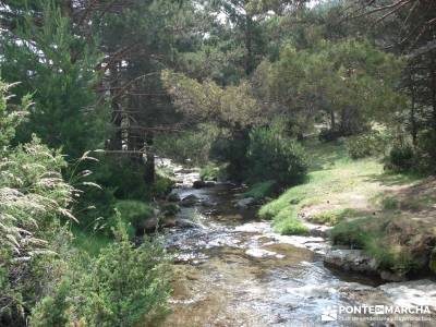 Valle del Lozoya - Camino de la Angostura;sierra de gredos senderismo senderismo sierra madrid